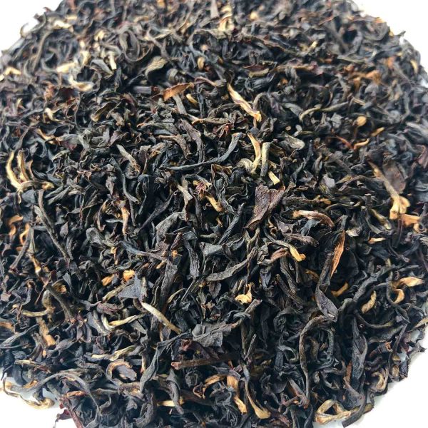 Ascend with Assam- Organic (sample)